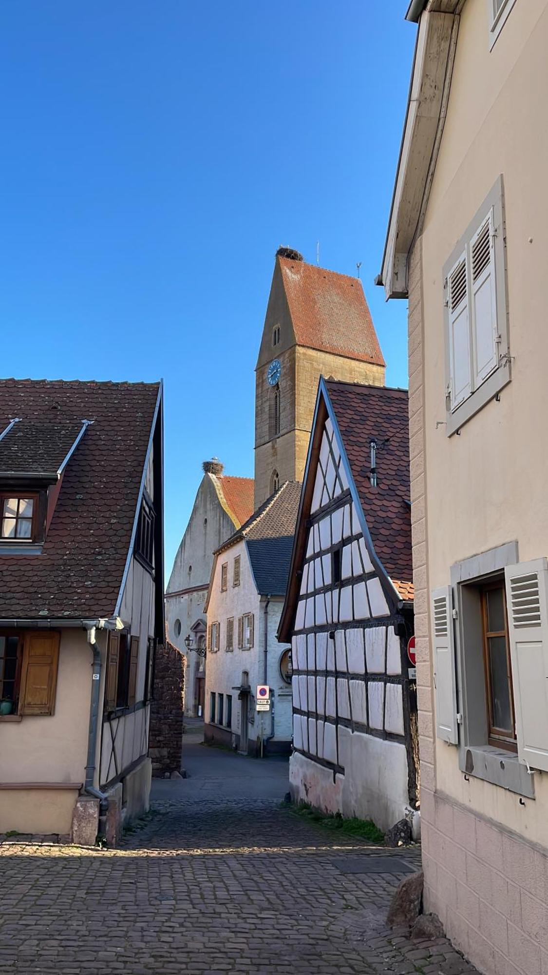 Appartement Le Ch'Ti Alsacien Eguisheim Zewnętrze zdjęcie