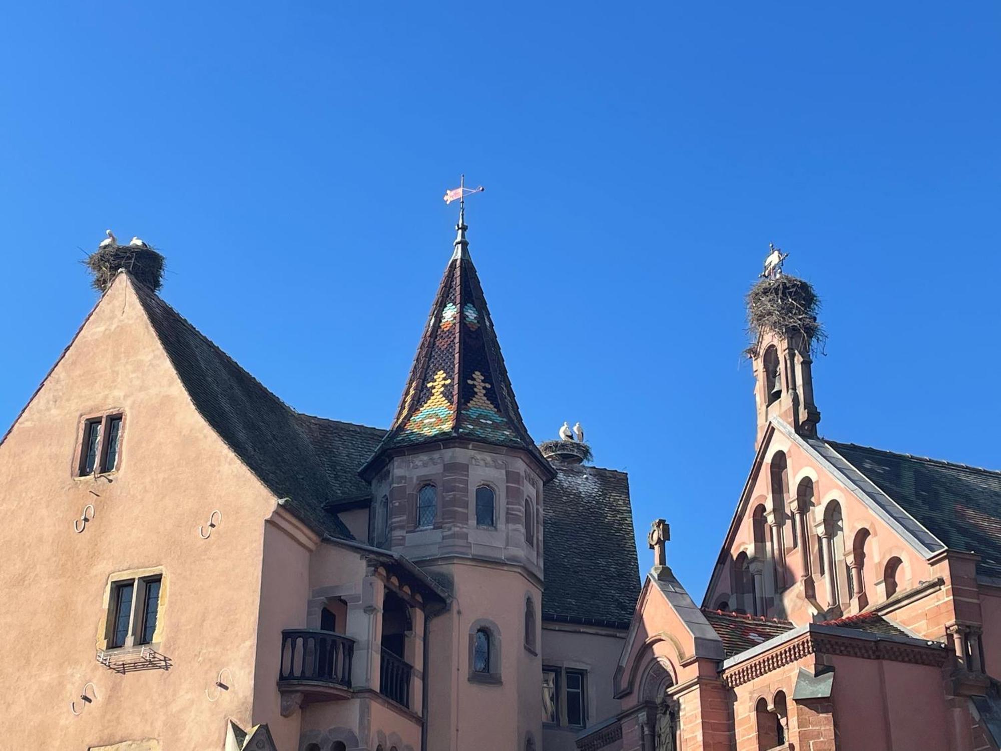 Appartement Le Ch'Ti Alsacien Eguisheim Zewnętrze zdjęcie